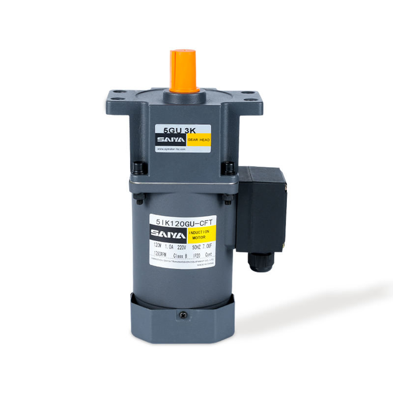 120W induktion AC Gear Motors